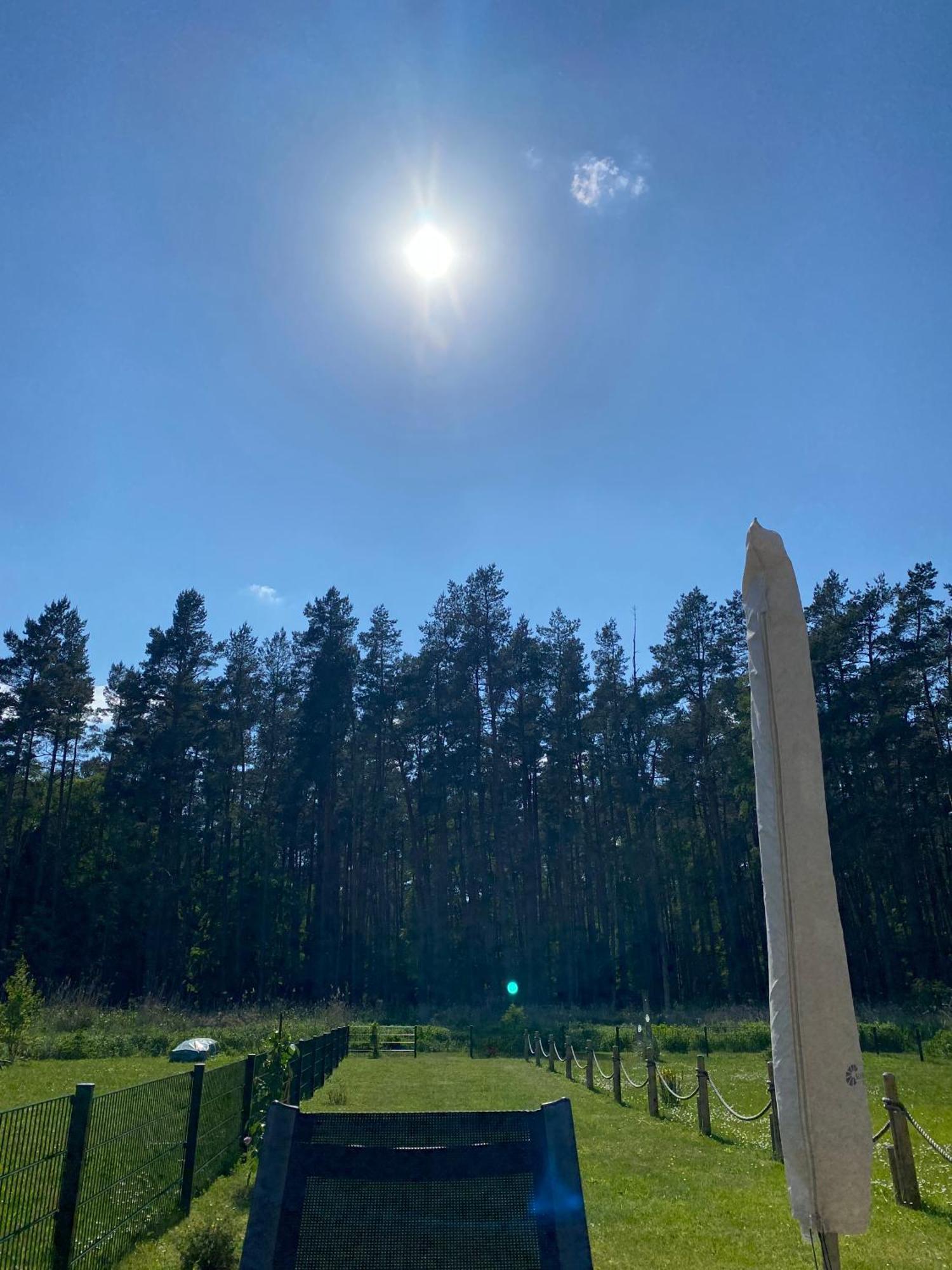 Lieblingsplatz Im Kuestenwald Graal-Mueritz Gelbensande Dış mekan fotoğraf